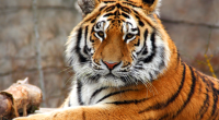 ZOO Ohrada, Hluboká nad Vltavou (9.5 km from Hluboká nad Vltavou)